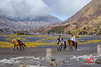 Sony A6000 | Sony 28-70mm | 1/320 | f5.6 | ISO 100 | Single Exposure